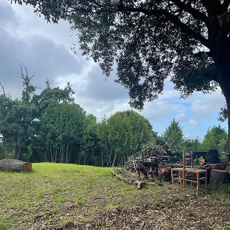 La Casita Del Encinar Chalet